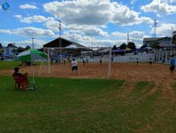 Imagem 80 da galeria