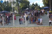 Imagem 60 da galeria