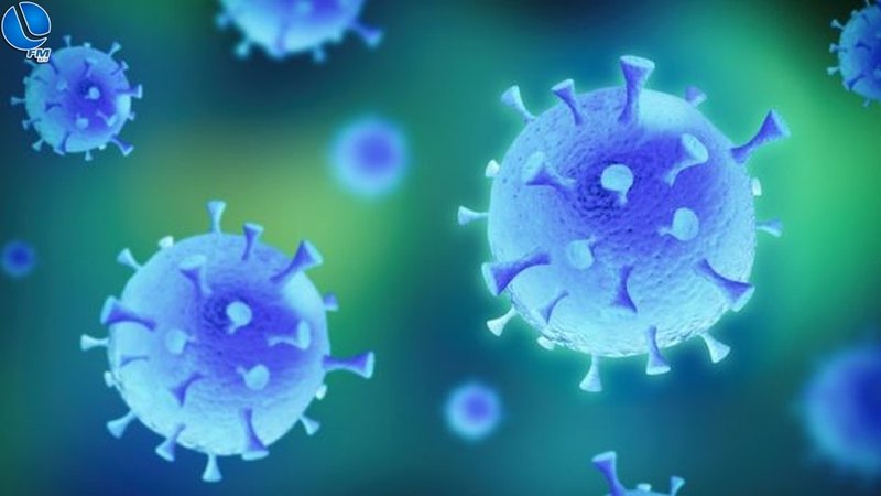 Lagoa Vermelha registra 4º óbito por Covid-19