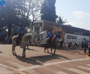 Imagem 10 da galeria