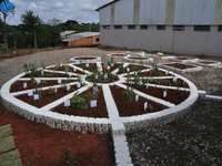 Imagem 10 da galeria