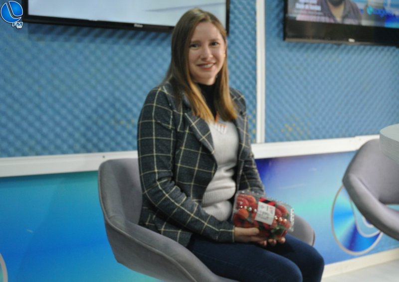 Produção de Moranguinhos, uma aposta que deu certo