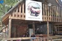 Imagem 10 da galeria