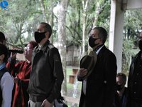 Imagem 10 da galeria