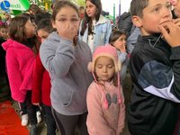 Imagem 10 da galeria