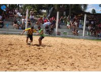 Imagem 13 da galeria