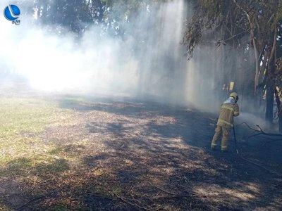Incêndio em vegetação mobiliza Corpo de Bombeiros em Lagoa Vermelha