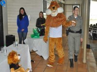 Imagem 10 da galeria