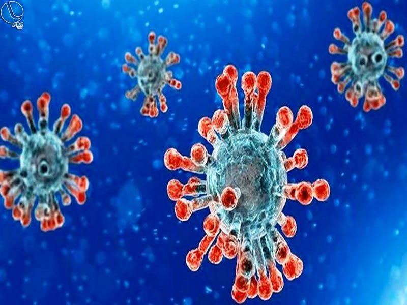 Coronavírus: Frigorífico de Passo Fundo foi interditado