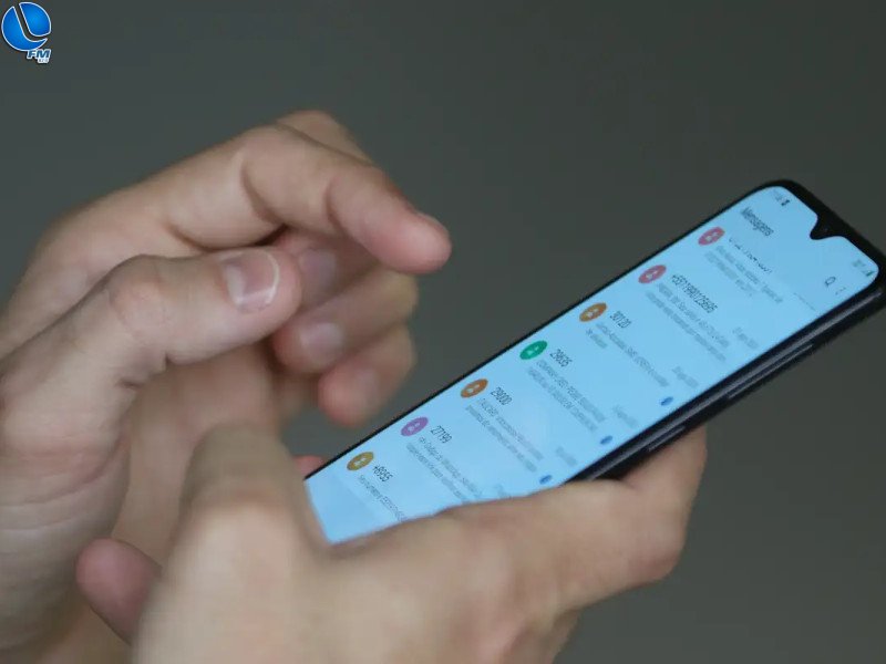 Polícia Civil investiga golpes aplicados em site falso de casa de leilões