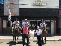 Imagem 10 da galeria