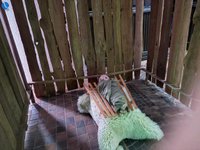 Imagem 30 da galeria