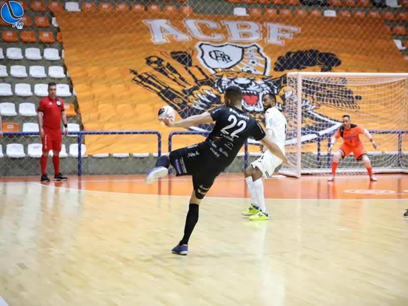 Imagem 5 da galeria