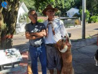 Imagem 11 da galeria