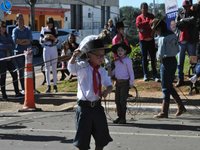 Imagem 10 da galeria