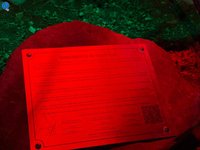 Imagem 14 da galeria