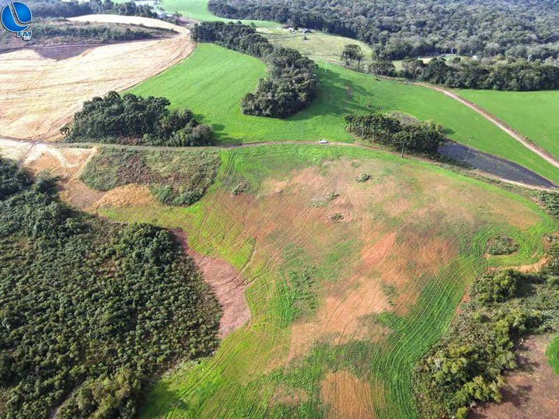 3º Batalhão Ambiental da Brigada Militar flagra destruição de vegetação nativa em Campestre da Serra