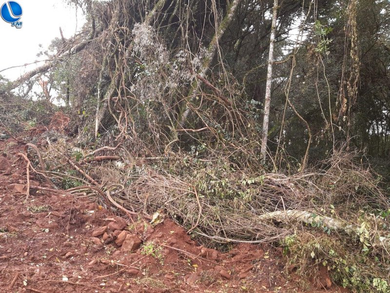 Patram constata crime contra a flora, em Ibiraiaras