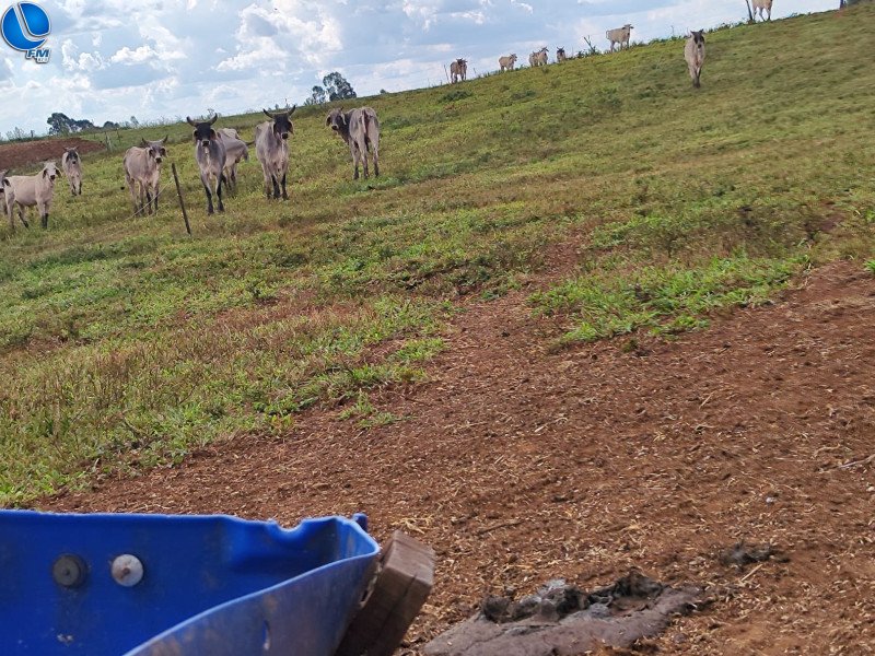 Polícia ambiental realiza vistorias em Capão Bonito do Sul
