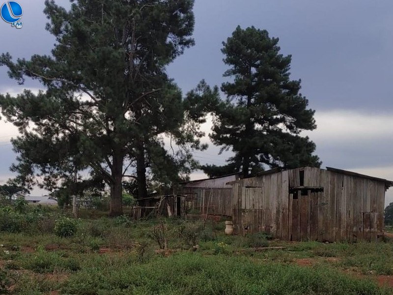 Patram fiscaliza criação de animais de grande porte no perímetro urbano