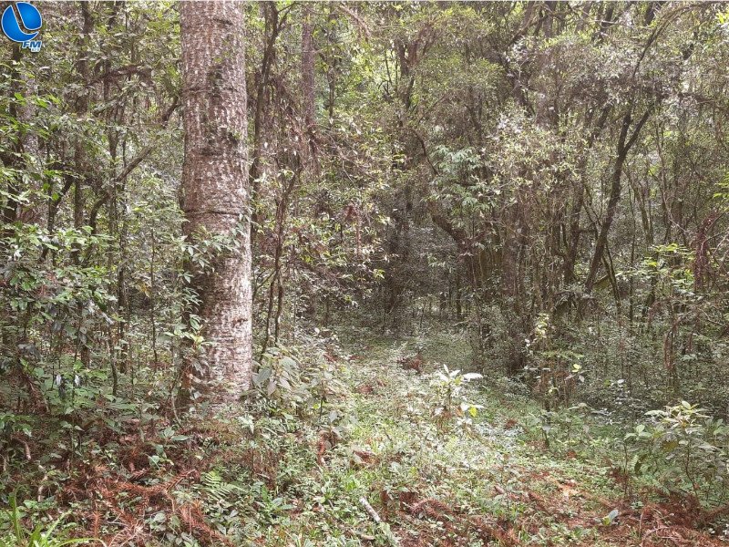 Patram faz vistoria em Capão Bonito do Sul