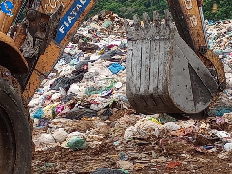 Polícia ambiental realiza o descarte de animal silvestre abatido