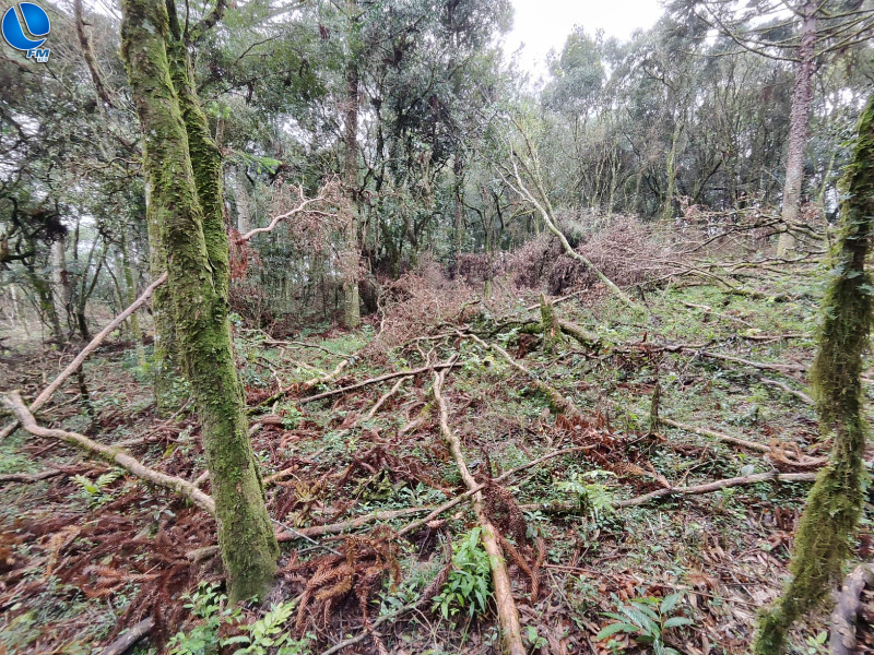 Polícia ambiental verifica denúncia de desmatamento em Capão Bonito do Sul