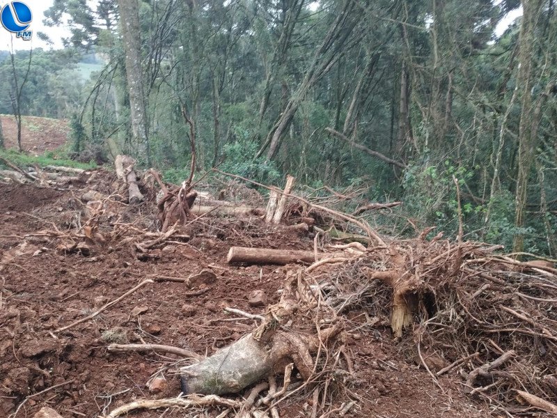 Patram recebe denúncia de desmatamento