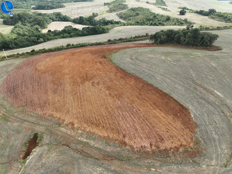 Desmatamento é confirmado na comunidade de Santo Expedito