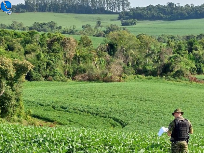 Polícia Ambiental flagra mais de 6 hectares de desmatamentos