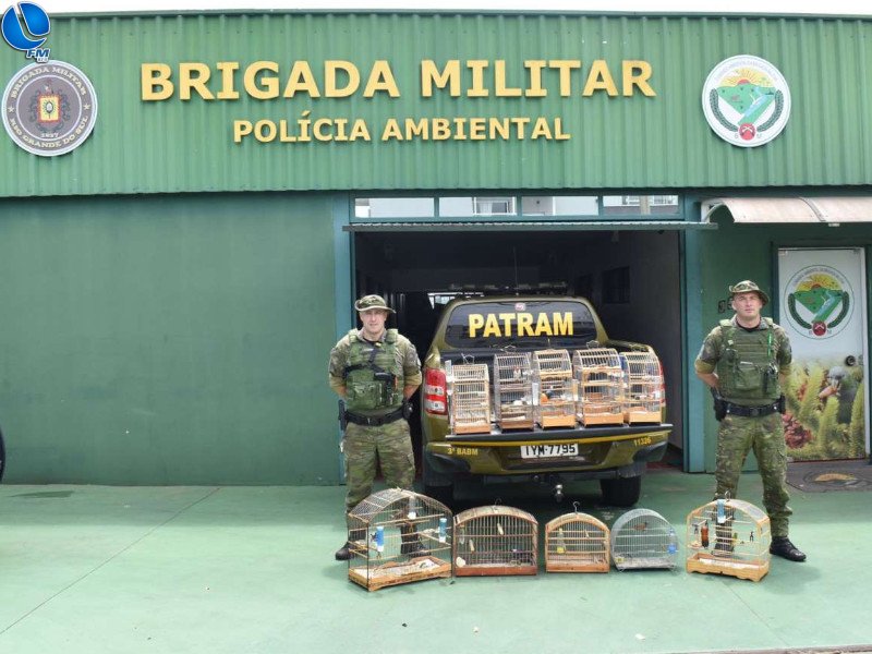 Brigada Militar resgata pássaros silvestres de cativeiro ilegal em Erechim