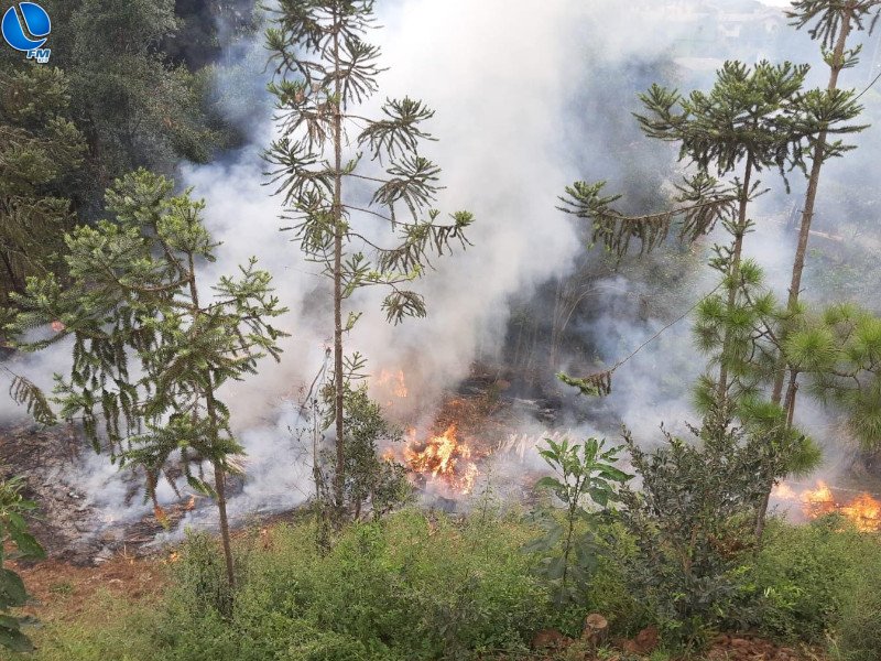Patram flagra utilização de fogo para consumo de tocos e galhos, em Caseiros
