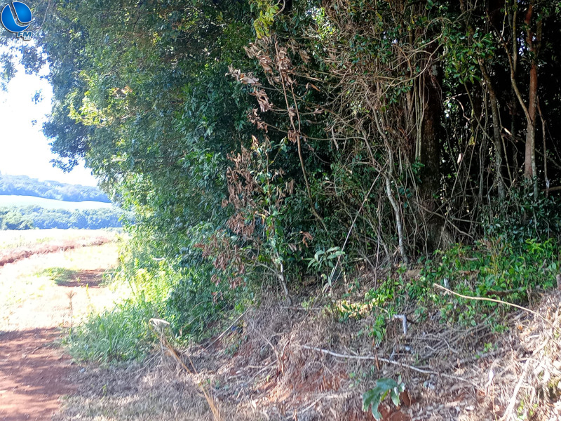 Polícia Ambiental fiscaliza denúncia de desmatamento