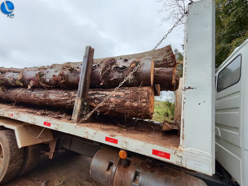 Patram apreende madeira em estabelecimento de Ibiaçá