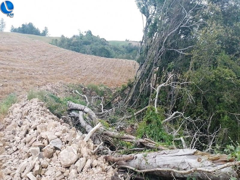 Destruição de mata nativa no interior de Muliterno