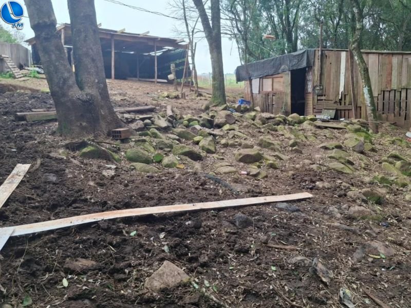 Polícia flagra desmatamento e aterro irregular em Passo Fundo