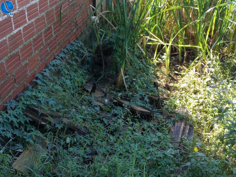 Patram constata poluição em oficina no bairro Jardim Lindoia