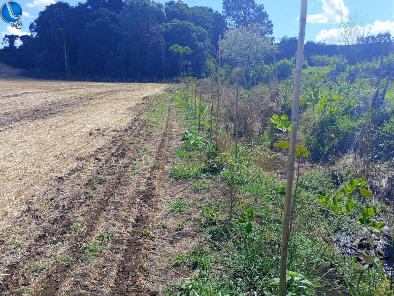 Patram realiza vistorias em projetos de reposição ambiental em Ibiraiaras