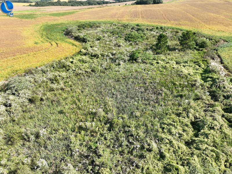 Patram vistoria projetos de recuperação ambiental