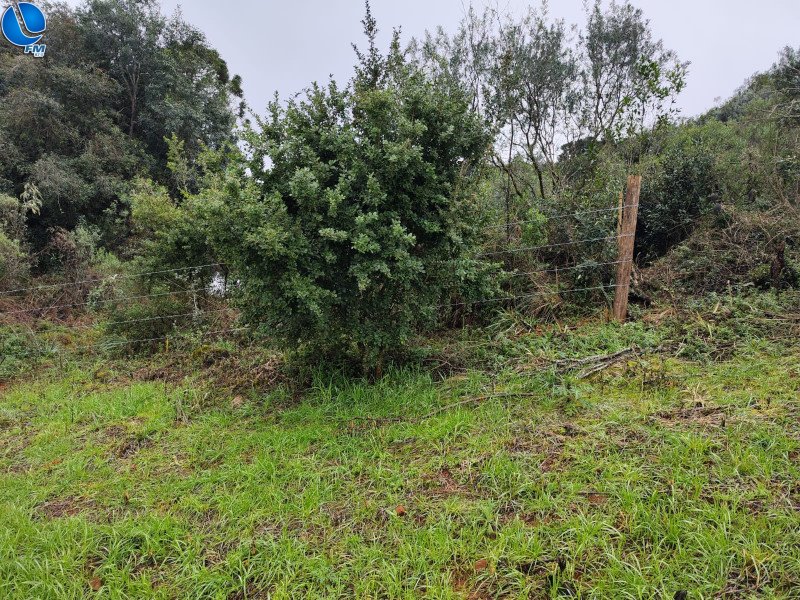 Polícia Ambiental realiza vistoria em propriedade de Lagoa Vermelha