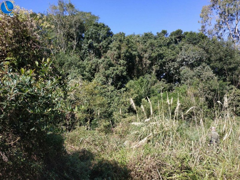 Polícia Ambiental vistoria projetos de recuperação de áreas na região de Tapejara