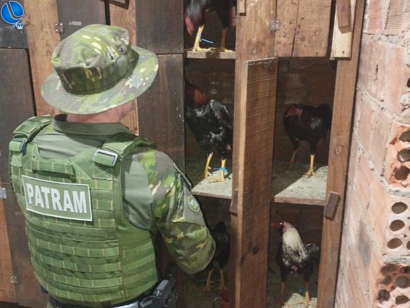Brigada Militar e PATRAM detém 17 pessoas por promover rinha de galos em Passo Fundo