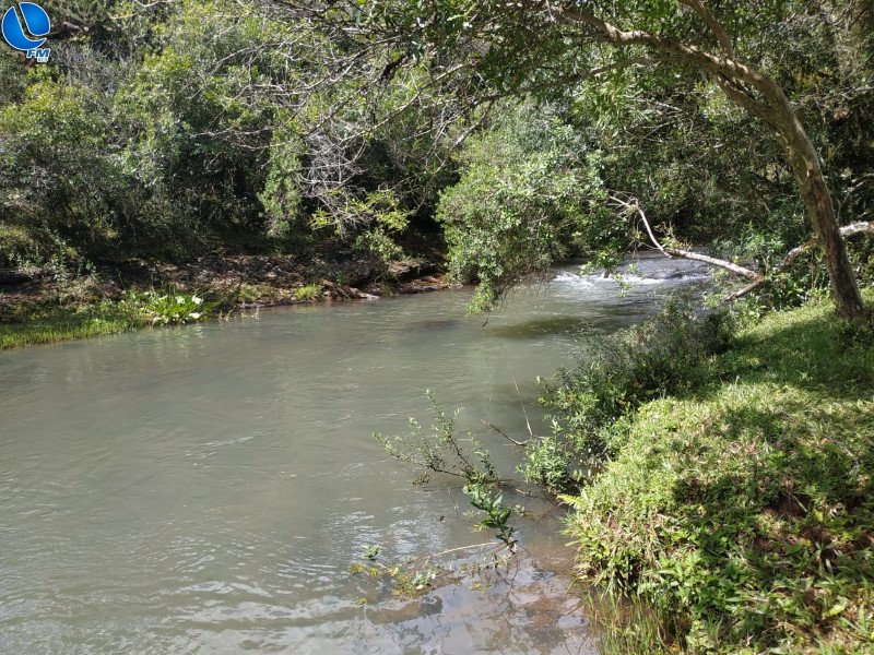 Polícia Ambiental constata crime ambiental em Muitos Capões