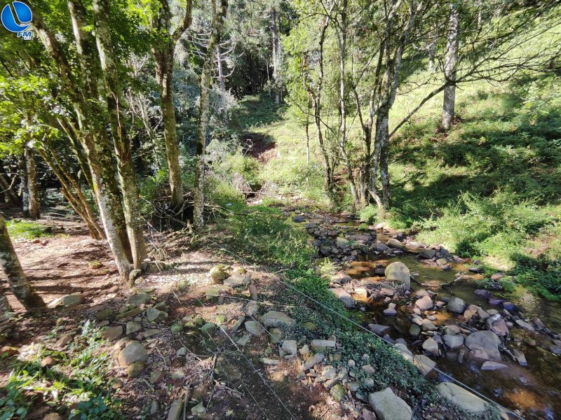 Polícia ambiental realiza vistorias em três municípios da região