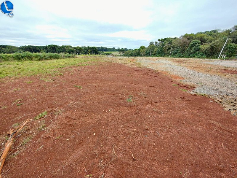Policia Ambiental constata novo desmatamento ilegal em área já autuada em Tapejara