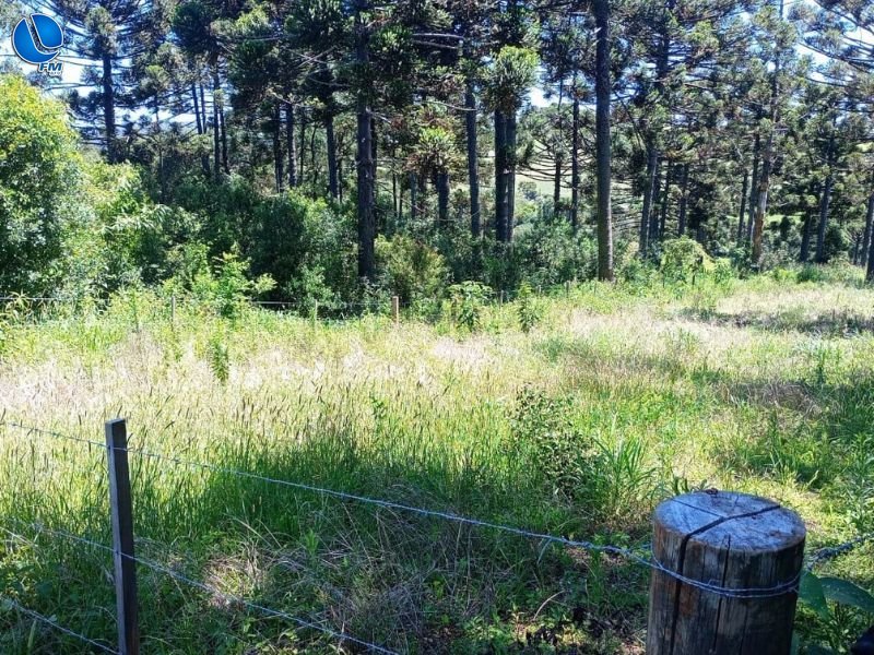 Patrulha Ambiental atende denúncias de maus-tratos e realiza vistorias técnicas em Lagoa Vermelha