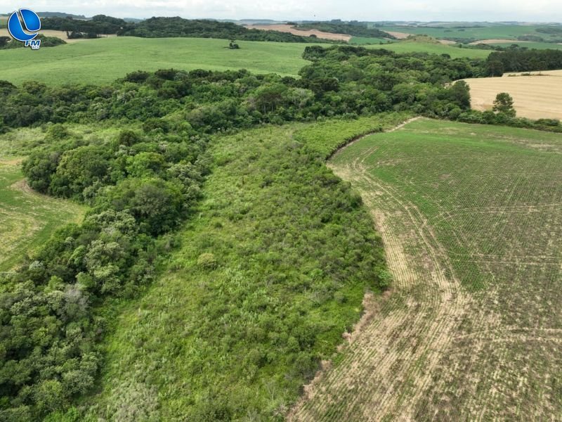 Brigada Militar realiza fiscalização ambiental e cumpre ordens judiciais em Santa Cecília do Sul e Tapejara