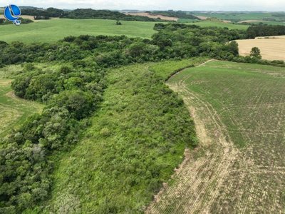 Brigada Militar realiza fiscalização ambiental e cumpre ordens judiciais em Santa Cecília do Sul e Tapejara