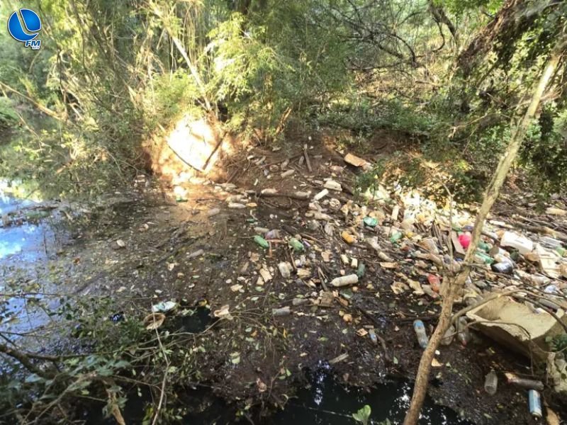 Comando Ambiental identifica descarte irregular como causa de mortandade de peixes em Passo Fundo