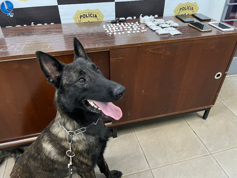 Polícia Civil prende homem por tráfico de drogas